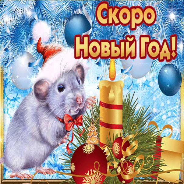 Скоро новый год картинки. Белая крыса, год крысы