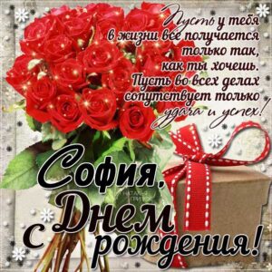 София с днем рождения гиф