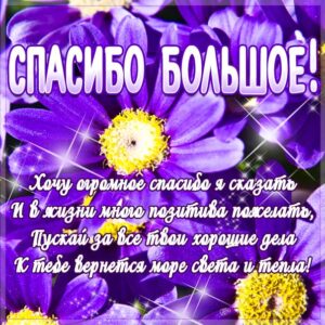 Картинка большое спасибо цветы