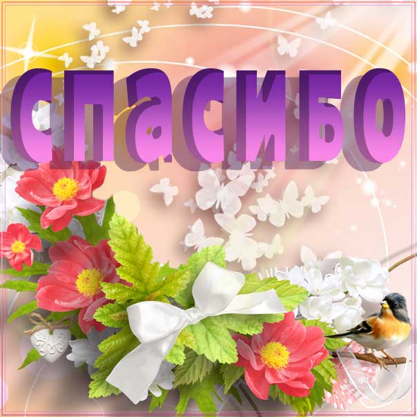 спасибо большое, поблагодарить картинка, благодарю картинка, сказать спасибо картинка, приветствие благодарность
