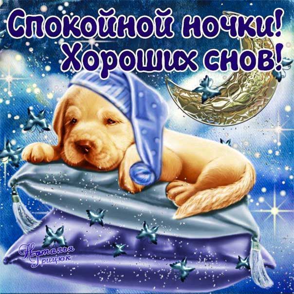 Спокойной ночи, доброй ночи, сладких снов, луна, приятных снов, нежных сновидений, снов хороших, цветных снов, прекрасных снов
