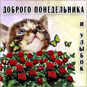 Улыбок картинки в понедельник