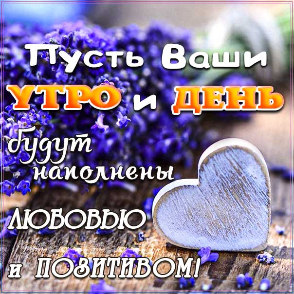 доброе утро, с добрым утром, утренняя улыбка, сердечко картинка утро, про утро картинка, утро цветы, приветствие утренне