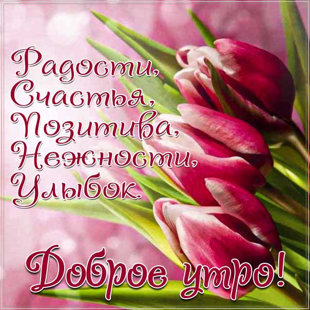 доброе утро, с добрым утром, утренняя улыбка, чудесного настроения, про утро картинка, утро с тюльпанами, приветствие утреннее