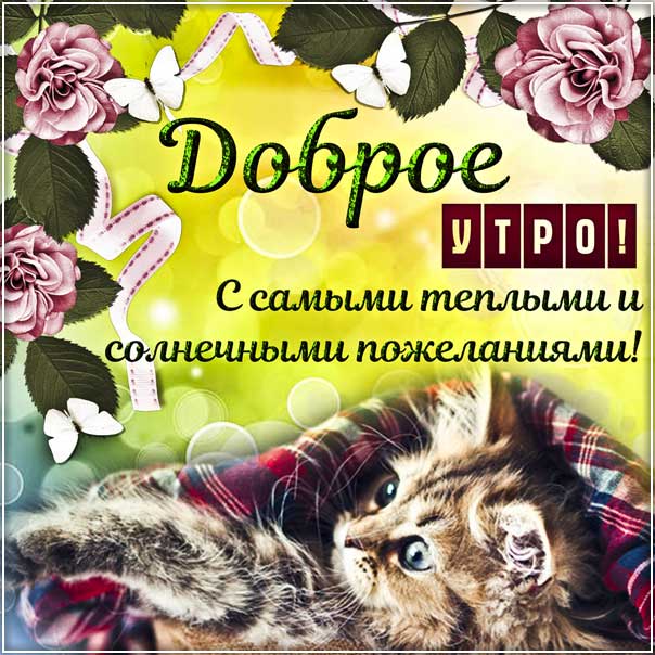Открытка доброе утро теплые пожелания. Котик утро, отличного утречка цветы, утренний позитив, текст, красивая надпись, со стихом, мигающая, картинки.
