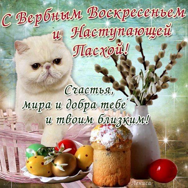 Вербное воскресение, с вербным воскресеньем, воскресение вербное