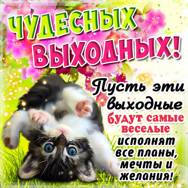 Чудесных выходных, хороших выходных, веселых выходных, музыкальная открытка, выходные дни, веселая картинка