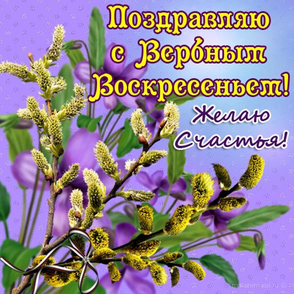 Вербное воскресение, с вербным воскресеньем, воскресение вербное