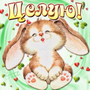 Открытки целую зайка