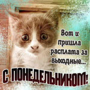 Классные мерцающие открытки понедельник
