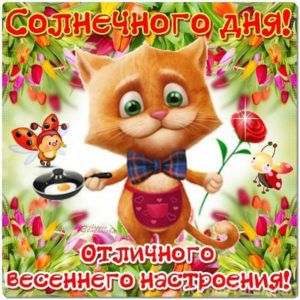 Картинки открытки хорошего дня