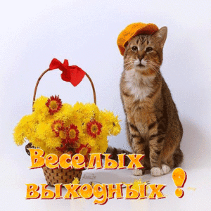 Открытки хорошего настроения в Выходные