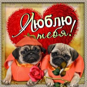 Открытка я тебя Люблю очень сильно