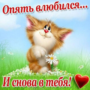 Открытка Любимой девушке
