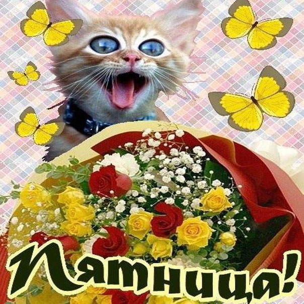 Gif открытки Пятница