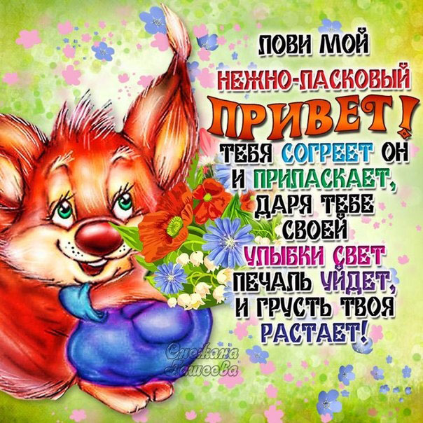 Открытки Привет дорогой
