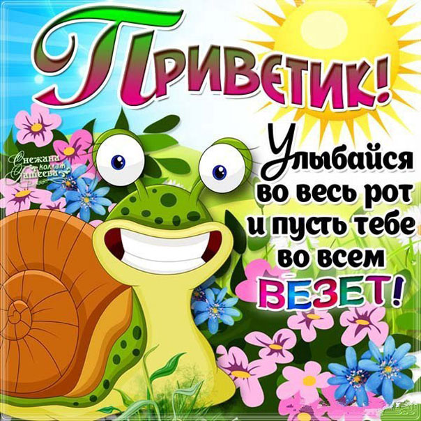 Смешные открытки Привет