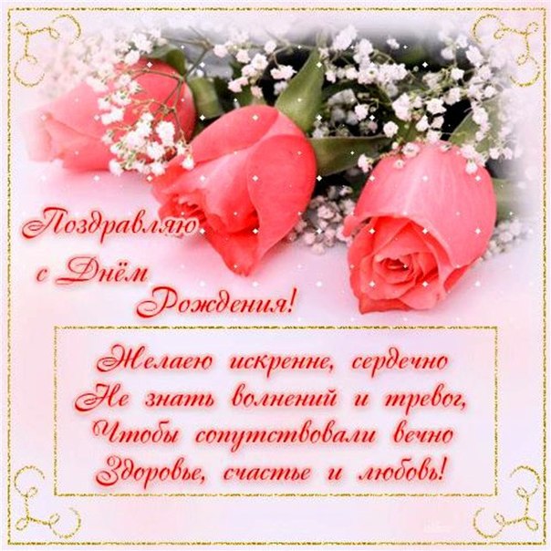 картинки розы