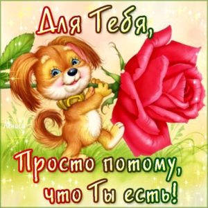 Для девушки красивые открытки