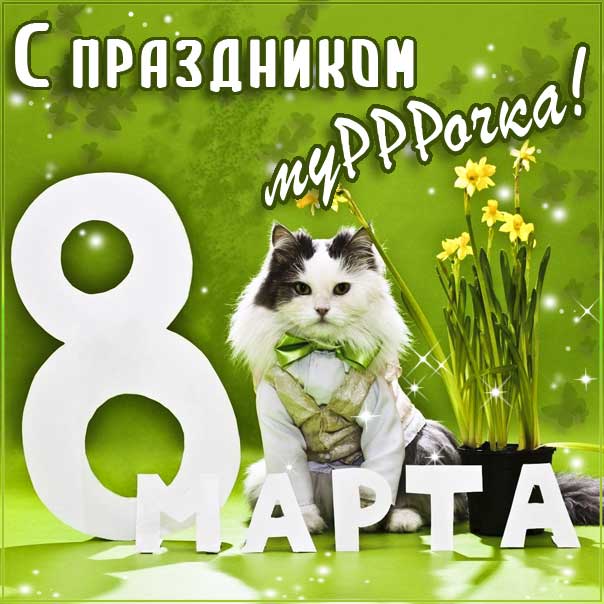 Мерцающая картинка 8 Марта девушке. Любимой 8 Марта, люблю пожелание, большой любви, с фразами, девочке с любовью, открытка женщинам, кот мартовский.