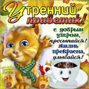Привет открытки анимация