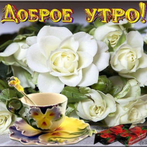 Открытки цветы комплименты на все утро