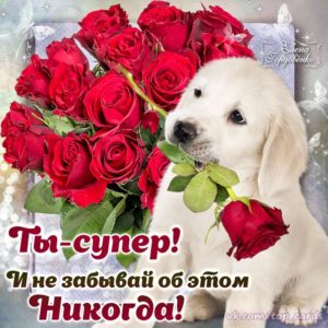 Открытки цветы комплименты для тебя