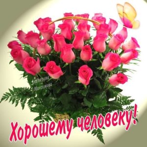 Открытки розы хорошему человеку