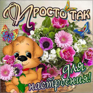 Анимация картинки просто так