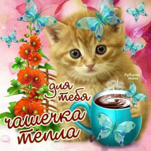 Открытка чашечка тепла
